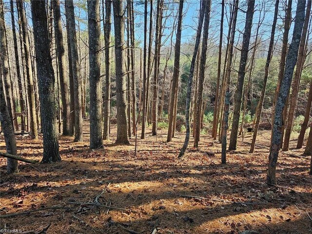 LOT82TBD Mcintosh Dr, Lowgap, NC 27024