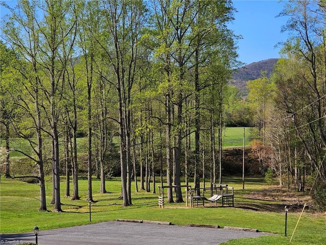 LOT82TBD Mcintosh Dr, Lowgap, NC 27024