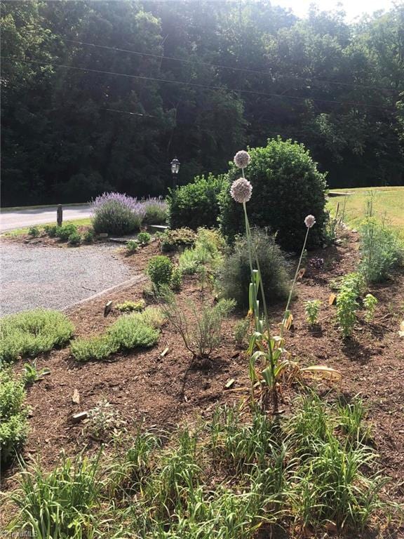 LOT82TBD Mcintosh Dr, Lowgap, NC 27024