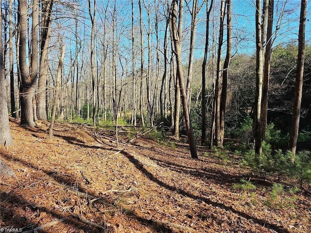 LOT82TBD Mcintosh Dr, Lowgap, NC 27024