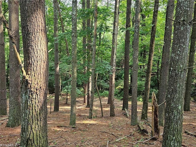 LOT82TBD Mcintosh Dr, Lowgap, NC 27024