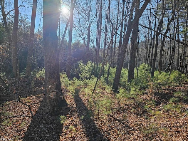 LOT82TBD Mcintosh Dr, Lowgap, NC 27024