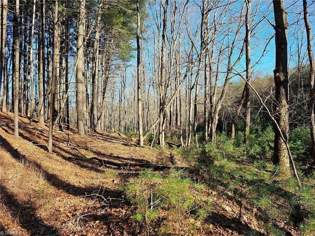 LOT82TBD Mcintosh Dr, Lowgap, NC 27024