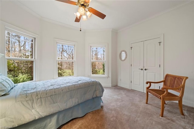 carpeted bedroom featuring a closet, baseboards, a ceiling fan, and crown molding