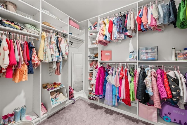 574 Freeport Ct, Winston-Salem, NC 27127 - walk in closet with carpet floors