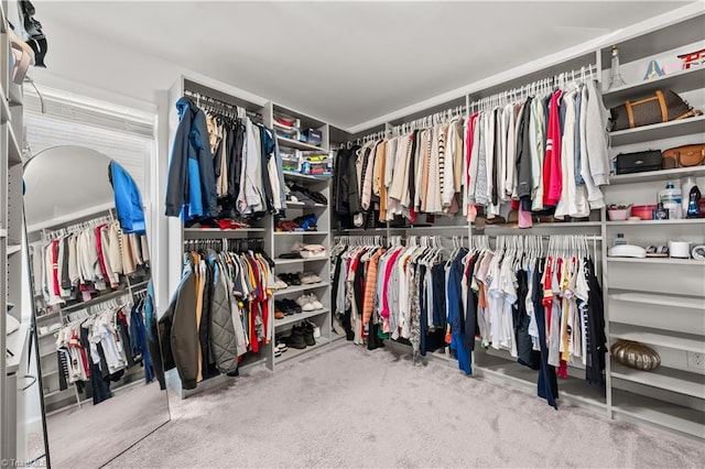 574 Freeport Ct, Winston-Salem, NC 27127 - walk in closet featuring carpet floors