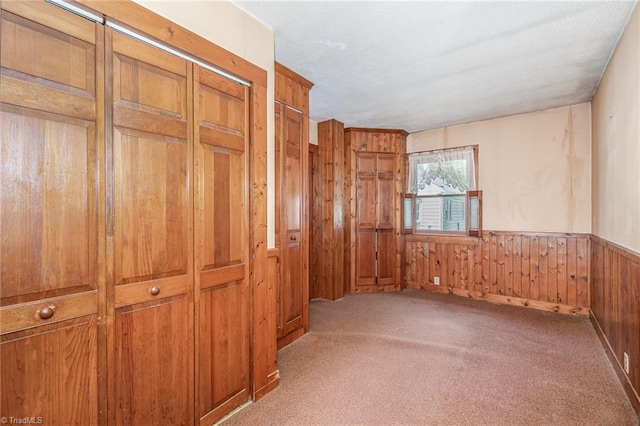 3753 Konnoak Dr SW, Winston-Salem, NC 27127 - carpeted spare room featuring wooden walls and wainscoting
