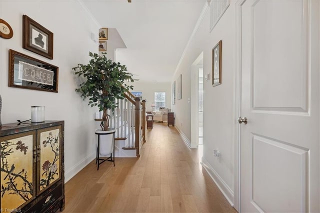 hallway featuring light hardwood / wood-style floors and crown molding