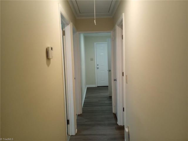 hall featuring ornamental molding and dark wood-type flooring