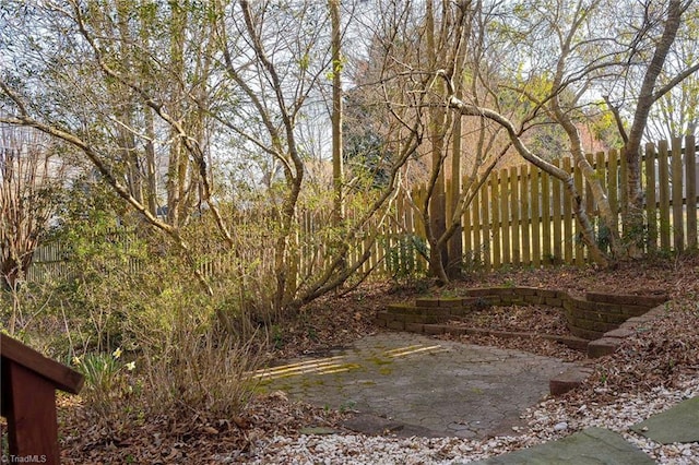 view of yard with a patio area and fence