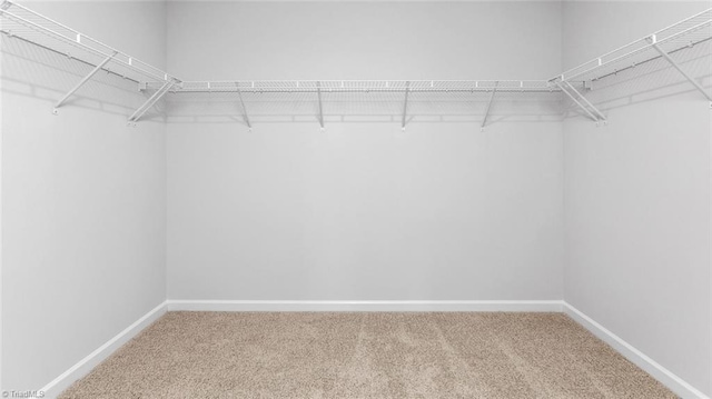 2867 Burgess Dr, Mebane, NC 27302 - walk in closet with carpet flooring