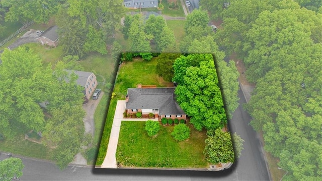 aerial view