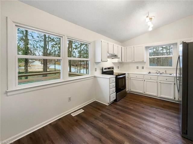 kitchen with visible vents, dark wood-type flooring, under cabinet range hood, lofted ceiling, and stainless steel appliances