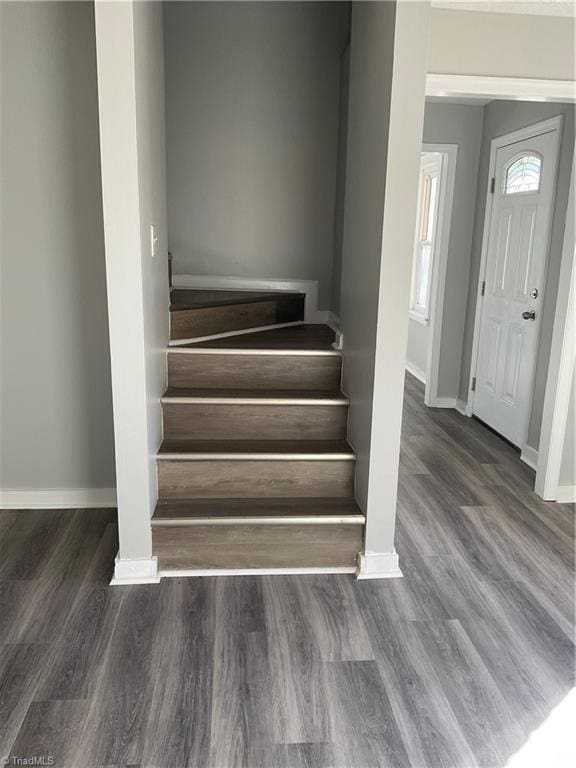 stairway with wood-type flooring