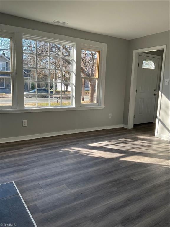 entryway with plenty of natural light and dark wood-type flooring