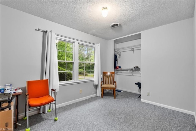 318 Sedalia Rd, Gibsonville, NC 27249 - sitting room with a textured ceiling, carpet floors, and baseboards