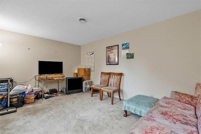 318 Sedalia Rd, Gibsonville, NC 27249 - living room featuring carpet floors and a textured ceiling