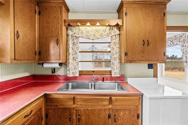 kitchen with sink and crown molding