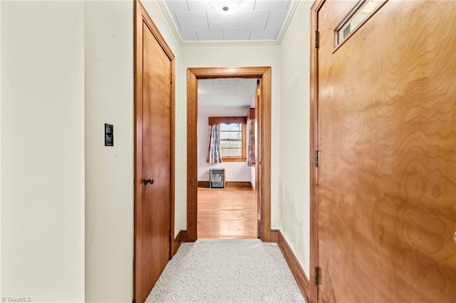 hallway with carpet floors and crown molding