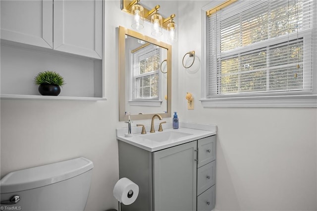 bathroom with toilet and vanity