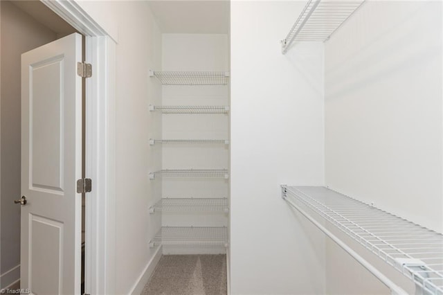 spacious closet with carpet flooring