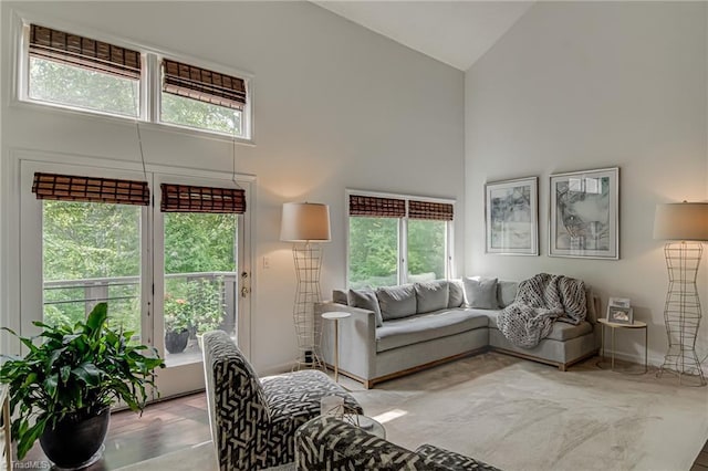 1935 Eastchester Dr Unit B, High Point, NC 27265 - living room featuring high vaulted ceiling and baseboards