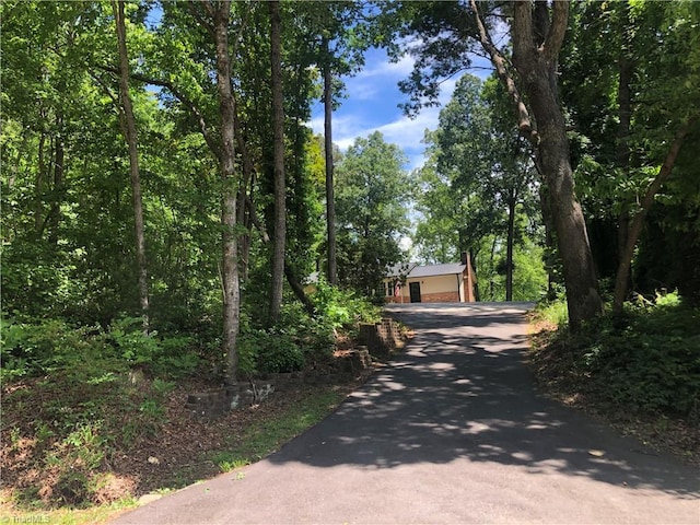 3960 Wards Gap, Cana, VA 24317 - view of front of property with asphalt driveway