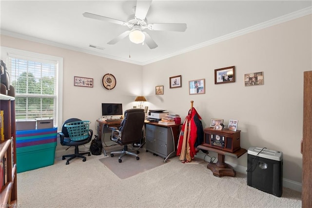 carpeted home office with ceiling fan and crown molding