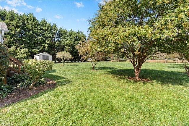 view of yard featuring a shed