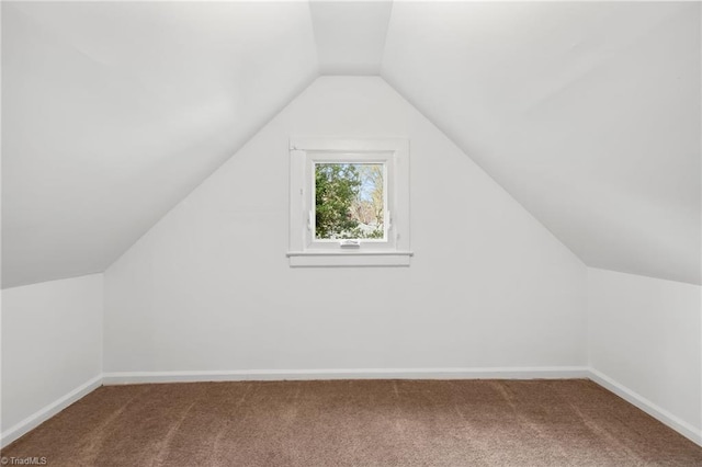 additional living space featuring carpet and vaulted ceiling