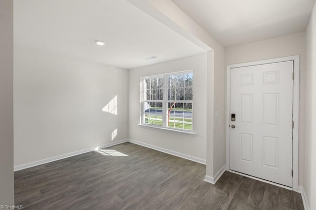 entrance foyer featuring dark wood-type flooring