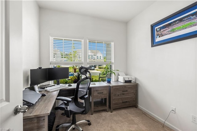 office area featuring baseboards and carpet