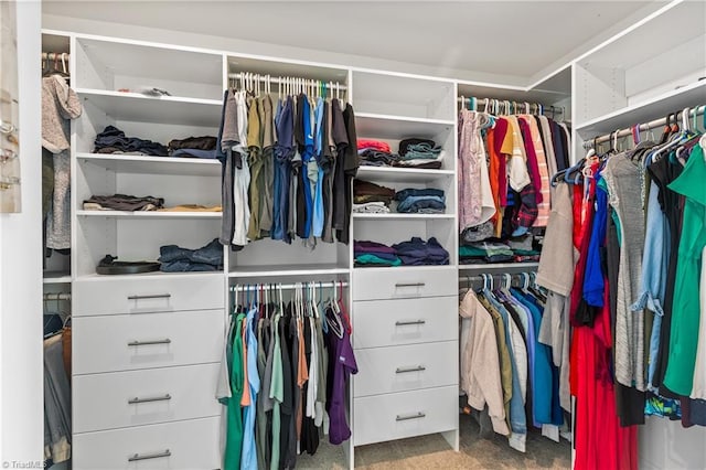 walk in closet with carpet flooring