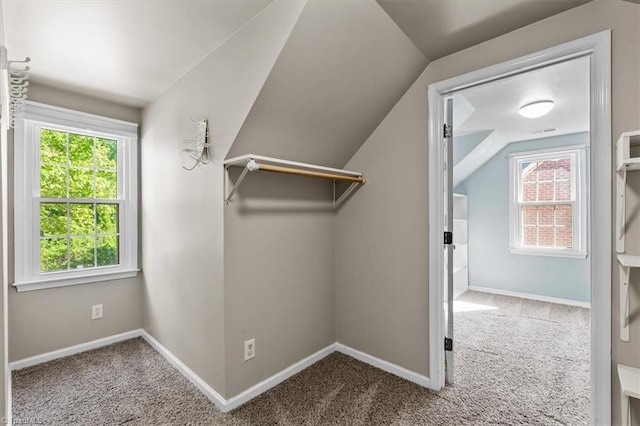 spacious closet with carpet flooring and vaulted ceiling