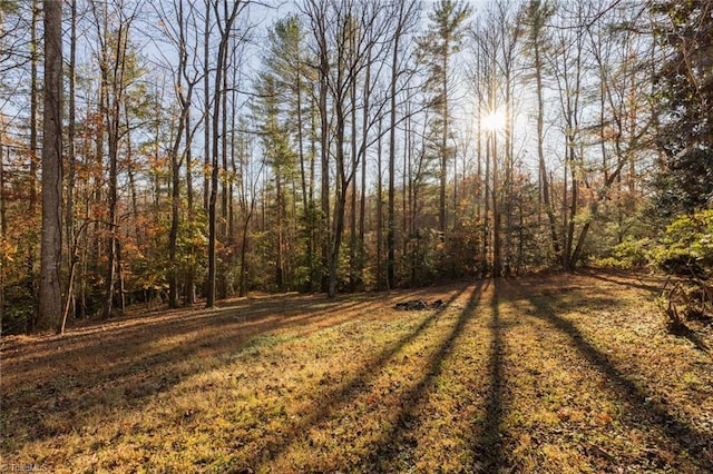 7715 W NC Highway 268, Wilkesboro, NC 28697 - view of yard with a view of trees