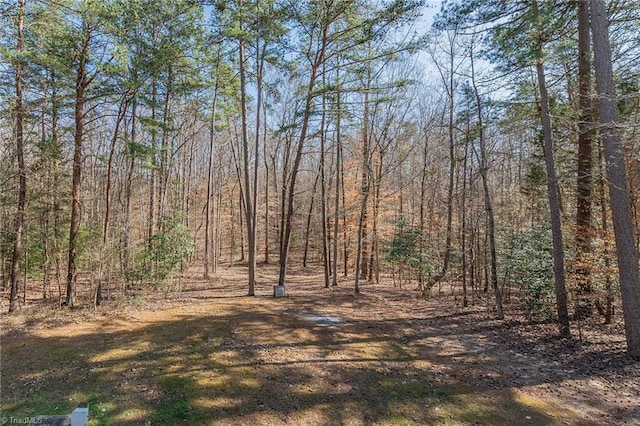 view of local wilderness with a view of trees