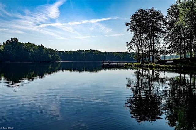 1087 Fairhaven Dr Lot 48, Mebane, NC 27302 - water view with a forest