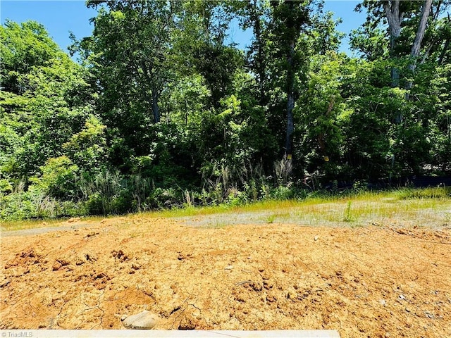 1087 Fairhaven Dr Lot 48, Mebane, NC 27302 - view of local wilderness