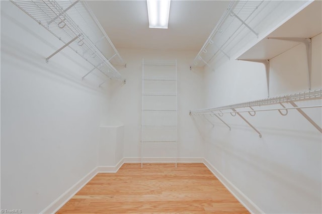 spacious closet with hardwood / wood-style floors