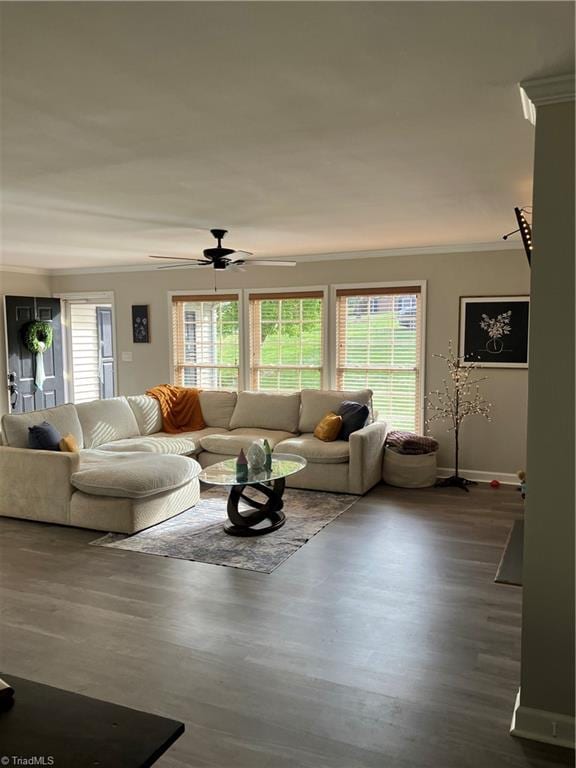 120 King Arthur Dr, King, NC 27021 - living area with a wealth of natural light, crown molding, and dark wood-style floors