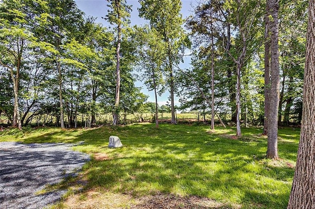 4503 Holly Leaf Rd, Ramseur, NC 27316 - view of green lawn
