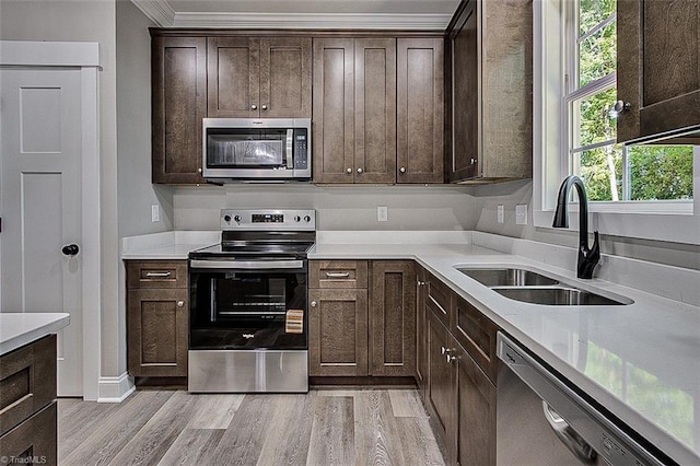 4503 Holly Leaf Rd, Ramseur, NC 27316 - kitchen with appliances with stainless steel finishes, a sink, dark brown cabinetry, light wood finished floors, and ornamental molding
