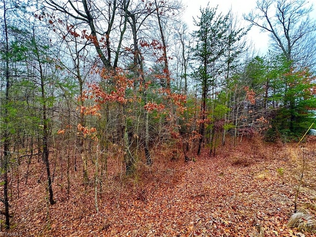 Listing photo 2 for LOT45 Ridge Run Rd, Boomer NC 28606