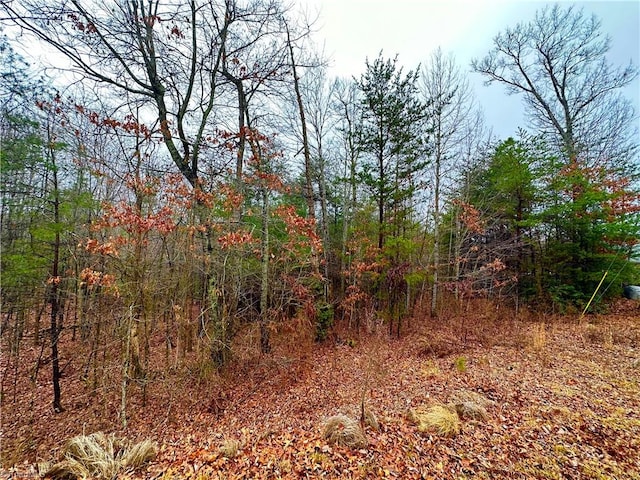 Listing photo 3 for LOT45 Ridge Run Rd, Boomer NC 28606