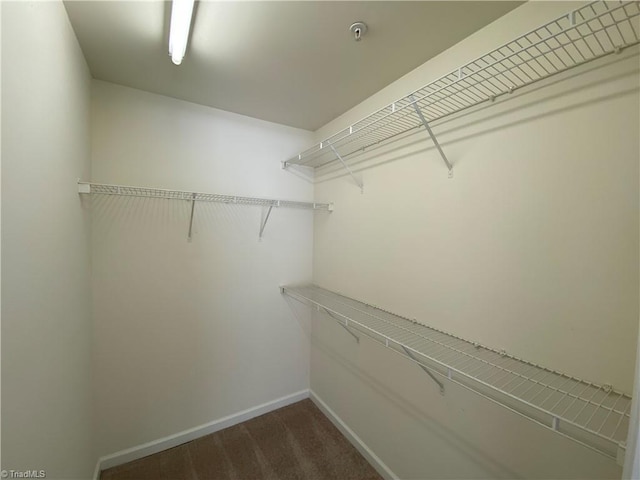 walk in closet with dark carpet