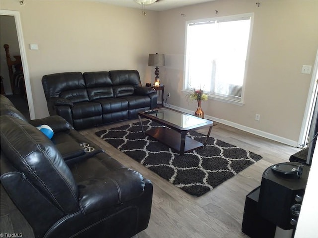 living room with wood-type flooring