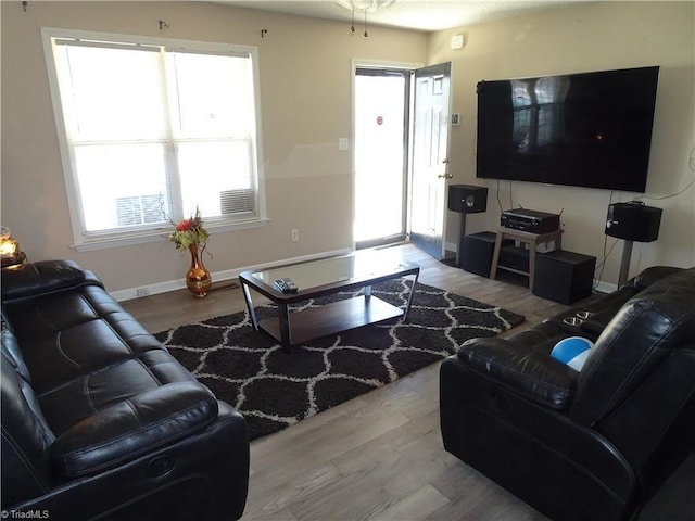 living room featuring hardwood / wood-style floors