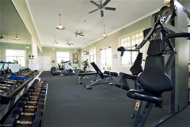 gym featuring crown molding, plenty of natural light, and visible vents