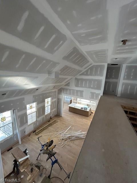 additional living space with a healthy amount of sunlight and lofted ceiling