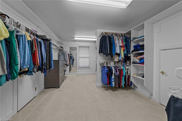 spacious closet with carpet floors